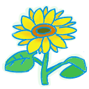ひまわり
